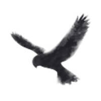 COMPANY_LOGO/qqNvuRTmJkhAHigRqUqo7oimIeM7tMuDM7lxtqvL.jpg